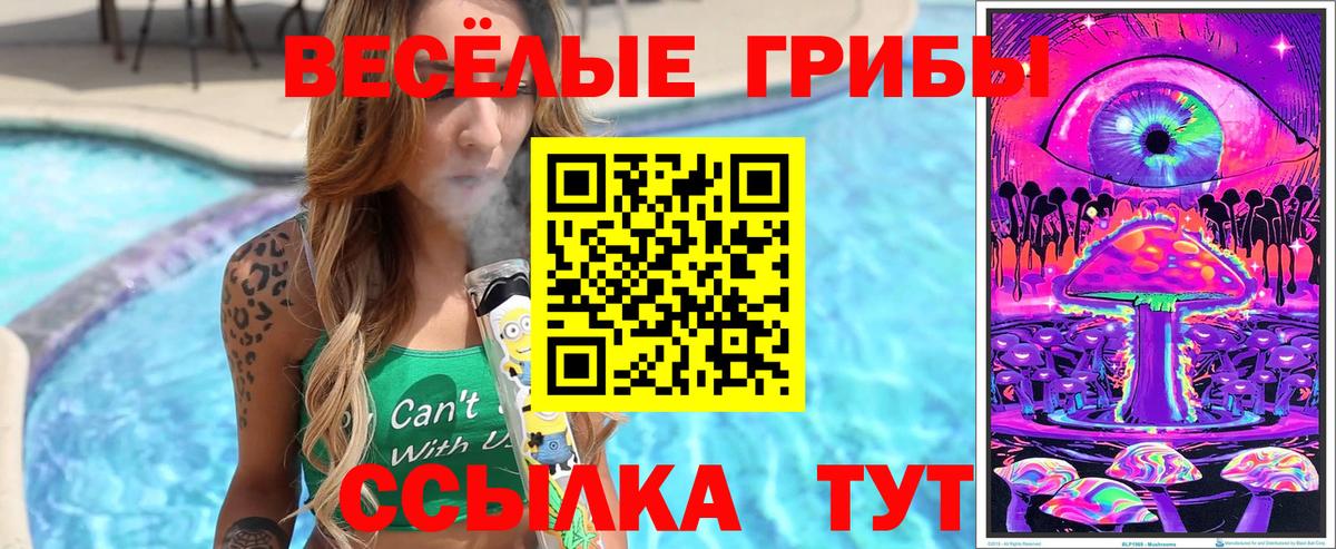 Удомля  Псилоцибиновые грибы Cubensis  Вход с VPN  Галлюциногенные грибы прущие грибы 
