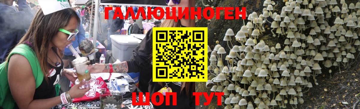 Псилоцибиновые грибы Psilocybine cubensis Удомля